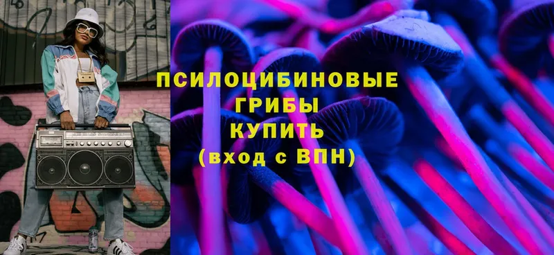 Псилоцибиновые грибы Psilocybine cubensis  как найти   Новый Оскол 